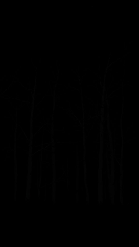 50 Stunning Black Wallpapers for a Chic Look Silhouette of bare trees against a black background