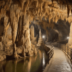 "Underground limestone cavern lit by warm tour lighting, featuring large stalactites, stalagmites, soda straw formations and limestone columns, with a concrete walkway meandering through the narrow passage. Rich geological layers and mineral stains adorn the cave walls, while subtle water reflections suggest an underground river system, in the cool and mysterious setting of Florida Caverns State Park."
